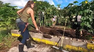 WWOOF Work Day - Hawaii Ep.  5