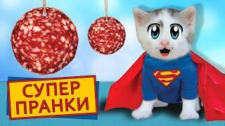 СМЕШНЫЕ ЛЕТНИЕ ПРАНКИ! ПРИКОЛЫ для пары КОТ Малыш и КОШЕЧКА МУРКА! 5 смешных РОЗЫГРЫШЕЙ над друзьями