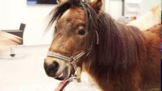 Kinospot - Friseurfreun.de - Wir bieten mehr als Pony schneiden!