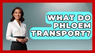 What Do Phloem Transport? - The Plant Enthusiast