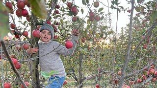 Max Explores Fishkill Farms Last Pick 2024