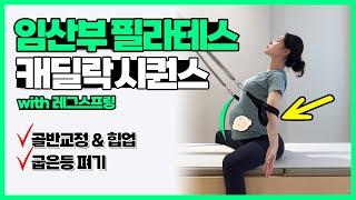 임산부 필라테스. 힙업 & 골반교정 되는 캐딜락 시퀀스.