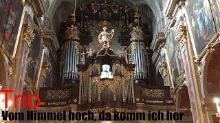 Trio über "Vom Himmel hoch" mit cantus firmus im Bass