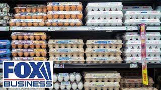 Agriculture secretary explains what's behind the rise in egg prices