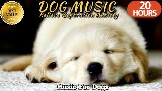 20 HOURS of Deep Sleep Dog MusicSeparation Anxiety Music For DogDog Relaxing musichealingmate