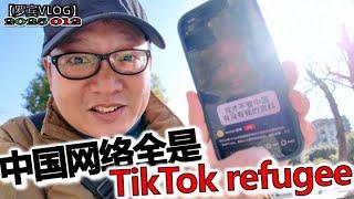 中国网络真的被TikTok refugee攻占了，十年难民谈谈TikTok难民现象【罗宾VLOG】