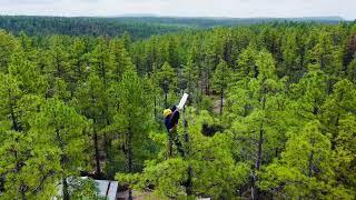 ClearView Satellite Solutions  - Starlink dish tree installation