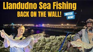 Llandudno sea fishing - Back fishing on Llandudno wall