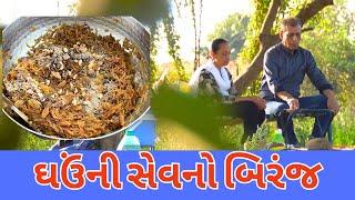 હોળીના દિવસે બનાવો ઘઉંની સેવનો બિરંજ | Sev Biranj recipe