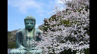 日本鎌倉大佛