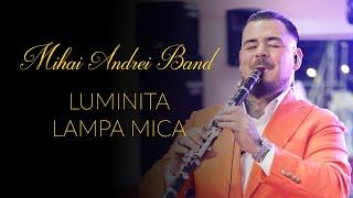 MIHAI ANDREI BAND  LUMINITA LAMPA MICA (cover)