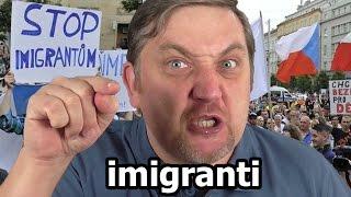 Můj názor - imigranti