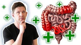 Best Treatment for IBS, Crohn's & Colitis