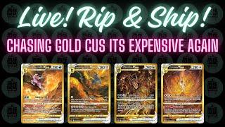 Chasing Gold - Live! Rip & Ship!