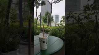 밀크티 타임