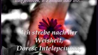 Die Heilige Schrift/Cartea Sfanta - Albert Frey & Andrea Adams-Frey