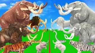 Mammoth Elephant  vs White Mammoth Prehistoric Mammals vs White (Albino) Animals Revolt Battle