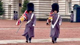 SPECTACULAR MOMENT WITNESSED DURING BUCKINGHAM PALACE GUARD CHANGE 