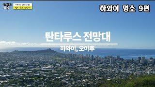 하와이 명소 9편 :탄타루스전망대(Tantalus Lookout)/귀차니즘 최고의명소/도보1분거리/Hawaii Oahu Tantalus Lookout