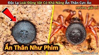 Ngạc Nhiên Trước Khả Năng Ẩn Thân Như Trong Phim Của Loài Sinh Vật Lạ || Review Giải Trí Đời Sống