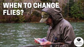 How Often Should You Change Flies?