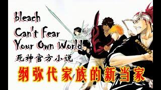 【死神官方小说】Can't Fear Your Own World 第一章（纲弥代的新当家）