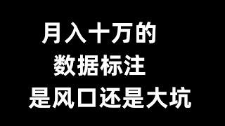 月入十万的数据标注是风口还是大坑，网赚 赚钱 赚钱项目 副业推荐 网络赚钱 最好的赚钱方法 网上赚钱 最快赚钱 轻松赚钱 在线赚钱