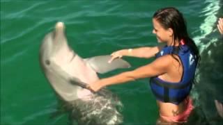 Swimming With Dolphins In Punta Cana