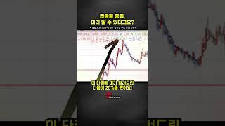 급등할 종목 미리 알 수 있을까?ㅣ6월 1주차 수익 일부 공개