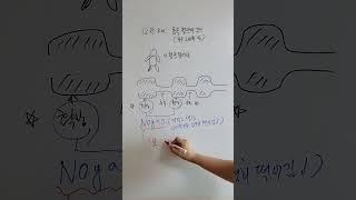 약사가 아르기닌을 택할 수밖에 없는 이유
