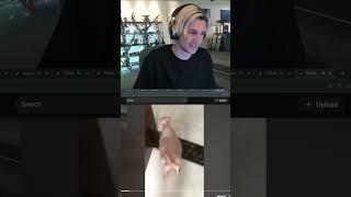 xQc FORGETS to close his tabs and gets exposed... 