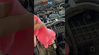 How To CHECK Bad PCV Valve Symptoms (Rubber Glove Method)