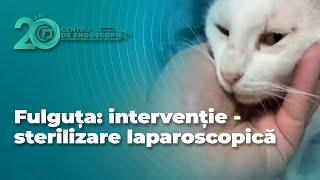 Fulguța: interveție - sterilizare laparoscopică