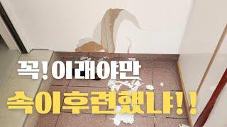 대형사고 제대로 친 고사리