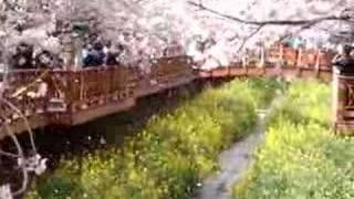 JinHae Trip