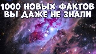 1000 НОВЫХ ФАКТОВ В ОДНОМ ВИДЕО, КОТОРЫЕ ВЫ ДАЖЕ НЕ ЗНАЛИ