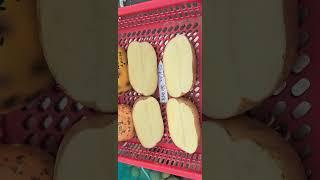 #춘추왕감자 #대왕감자 #임영석감자연구소 #K-potatolab #가공용감자 #프랜치프라이 #감자칩