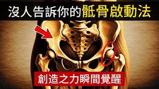 一旦像這樣活動你的骶骨，你的創造之力瞬間覺醒。（你會立刻感受到轉變！）