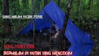 SOLO CAMPING HUJAN DERAS DI HUTAN 2 .BERMALAM TIDUR DI HUTAN ,MALAM MENCEKAM.#campinghujanderas#