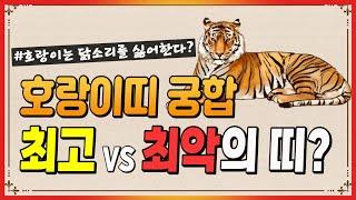 [띠별 궁합] 호랑이 띠와 좋은 VS 나쁜 궁합의 띠는?