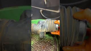 Oil inside air intake? #diyautorepair #autorepair #mechanic