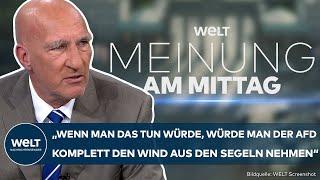 NEUE MERZ-REGIERUNG: Wie kann die politische Mitte die AfD schwächen? | MEINUNG