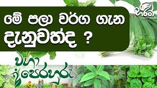 පලා කොළ වර්ග අලුත් විදියට වවමු  | Haritha Tv | Waga Perahuru |  Pala warga