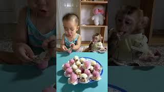 Bear and monkey Titi eat strawberry cream biscuits #shortsvideo #cute #monkey