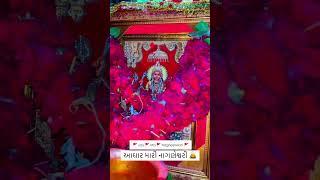 Jay Nagneshwari Maa ️️ #shorts #trending #gujarati #rathod #kuldevi #nagneshwari #maa #mataji