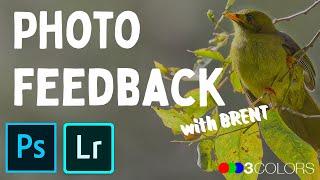 Photo feedback - loads of landscape, macro, wildlife photography, post-processing, tips and tricks.