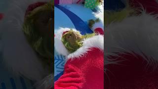 From : MICKEY , To: THE GRINCH #thegrinch#mickeymouse #universalstudios #disneyland