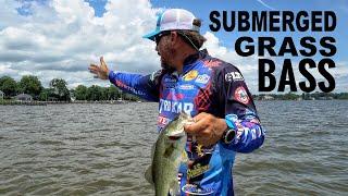 Fishing Submerged Vegetation - Pro Fishing Tips