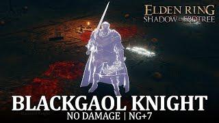 Blackgaol Knight Boss Fight (No Damage / NG+7) [Elden Ring DLC]