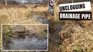 Unclogging Drainage Pipe - Starts Pouring Into Pond